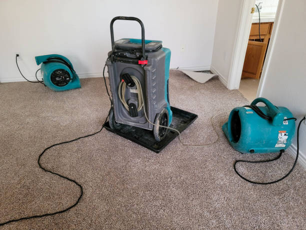 Best Emergency water damage restoration  in Pioche, NV