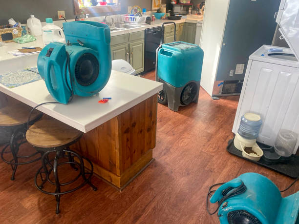 Best Water damage cleanup near me  in Pioche, NV