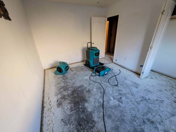 Best 24-hour water damage restoration  in Pioche, NV