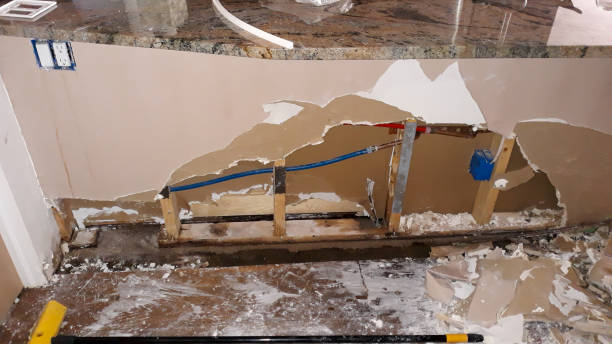 Best Ceiling water damage repair  in Pioche, NV