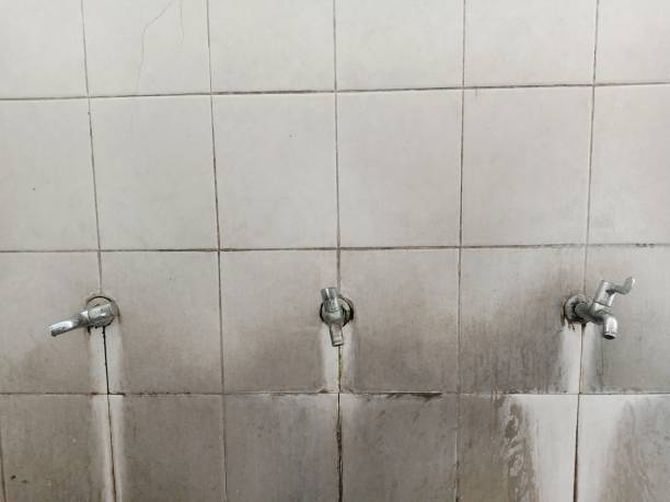 Best Ceiling water damage repair  in Pioche, NV