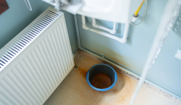 Best Local water damage restoration  in Pioche, NV