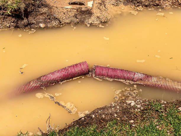 Best Emergency water damage restoration  in Pioche, NV