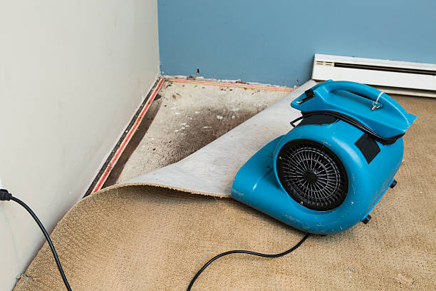 Best Residential water damage restoration  in Pioche, NV